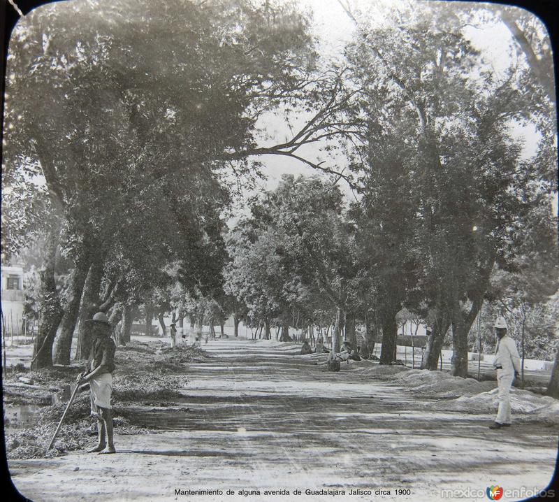 Mantenimiento de alguna avenida de Guadalajara Jalisco