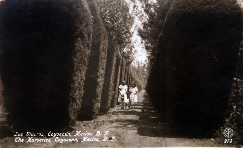 VIVEROS DE COYOACAN