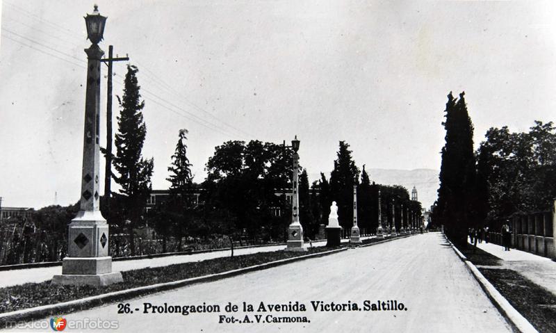 PROLONGACION DE LA AVE. VICTORIA