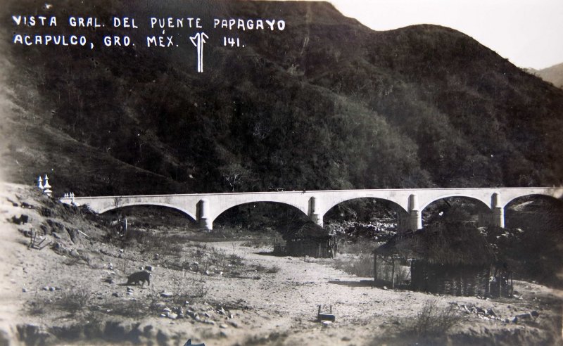 VISTA DEL PUENTE PAPAGAYO