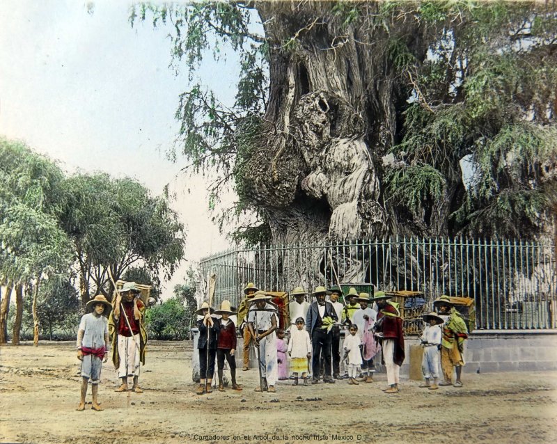 Cargadores junto al Arbol de la noche triste Mexico D F