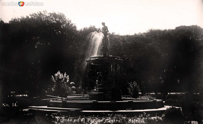 Fuente de el Parque Central