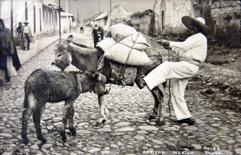 Tipos mexicanos Arriero