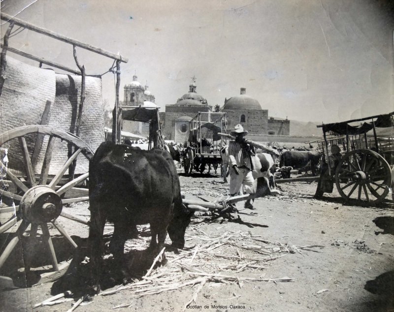 Escena Cotidiana en Ocotlan de Morelos Oaxaca