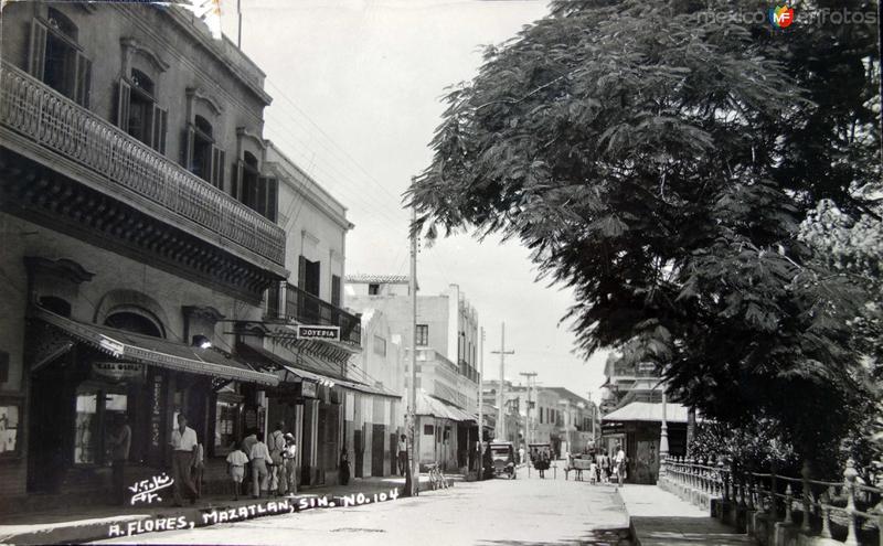 Avenida Flores Panoramica