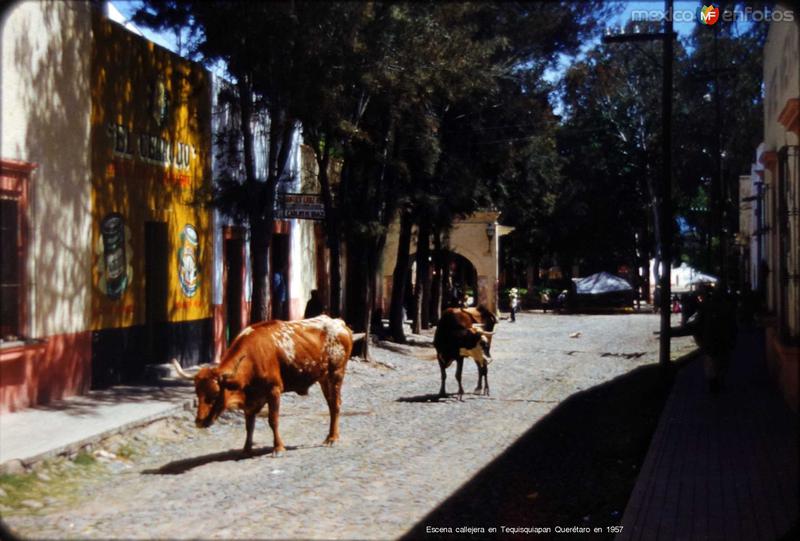 Escena callejera en Tequisquiapan Querétaro en 1957