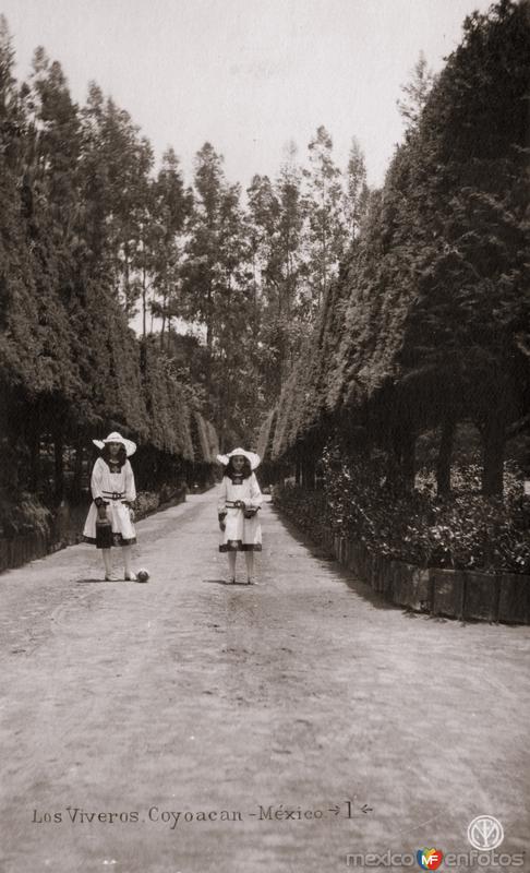 Los Viveros de Coyoacán