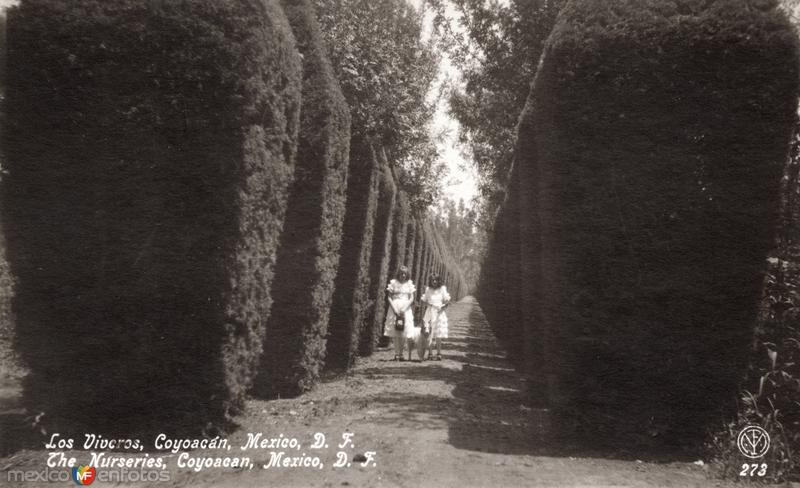 Los Viveros de Coyoacán