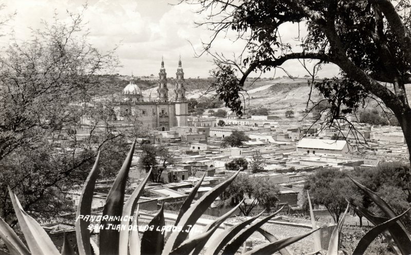 Panorámica de San Juan de los Lagos