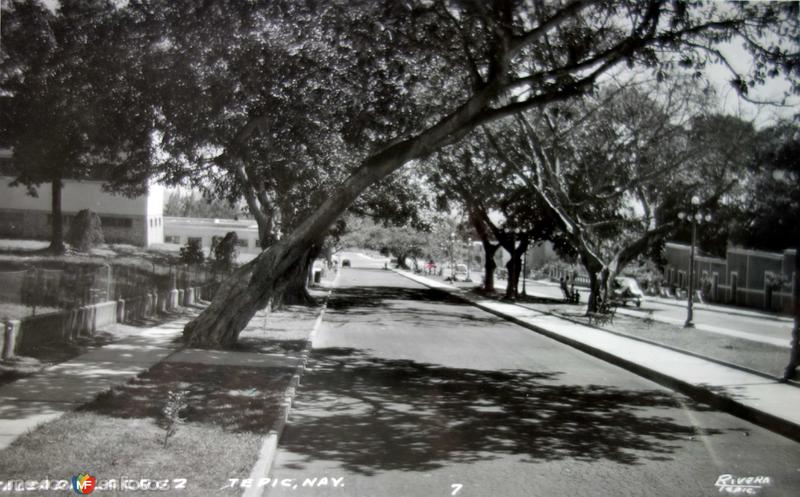 Avenida de La Cruz