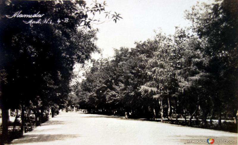 Fotos de Monterrey, Nuevo León, México: La Alameda