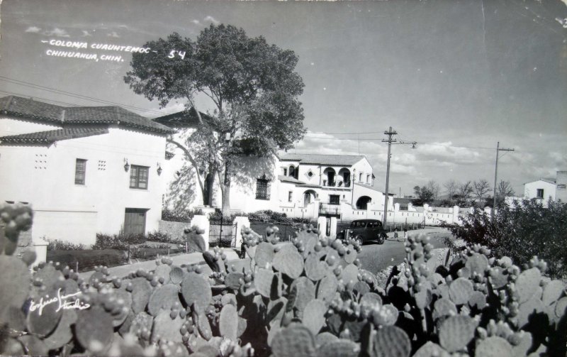 La Colonia Cuahutemoc