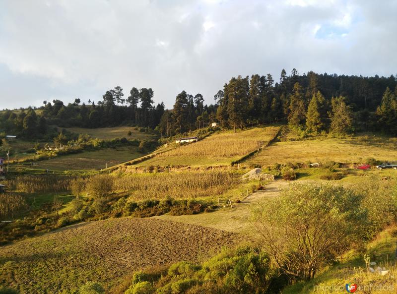 Santuario de la Mariposa Monarca