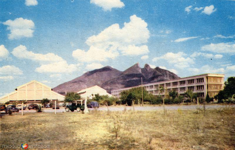 Universidad Autónoma de Nuevo León