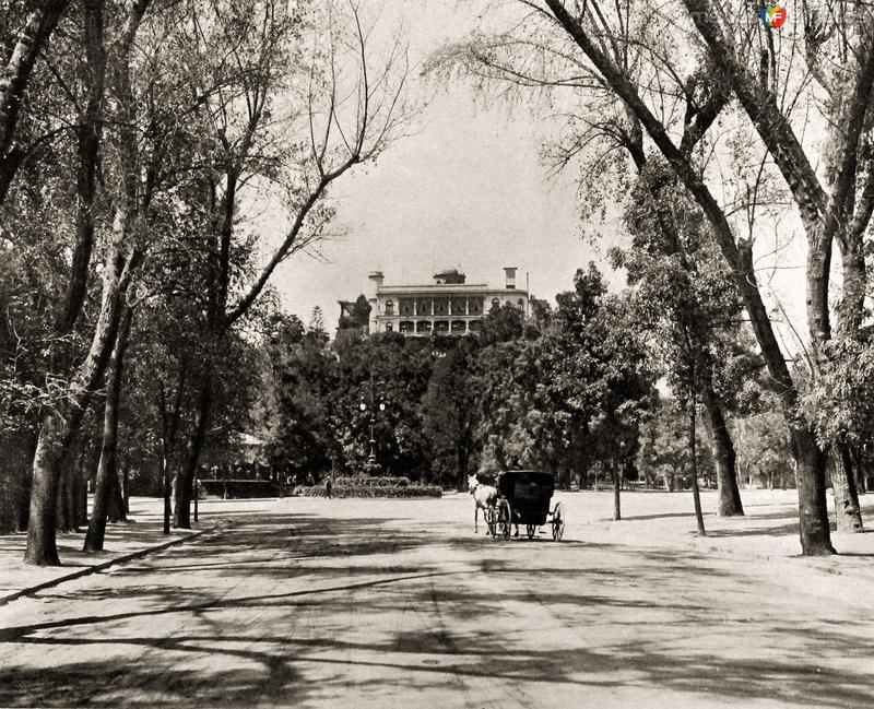 Bosque de Chapultepec: Entrada