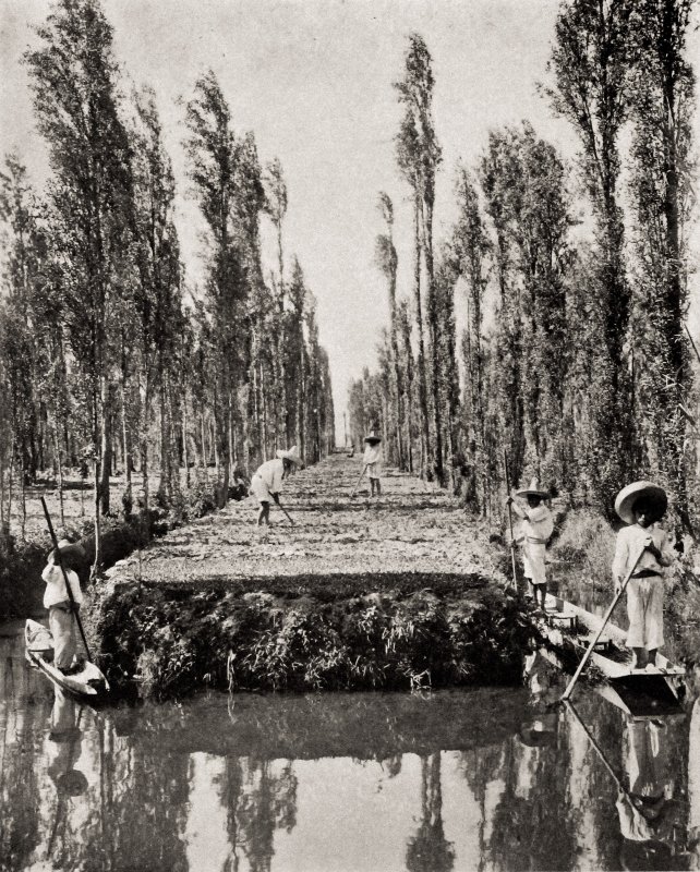 Lago de Xochimilco