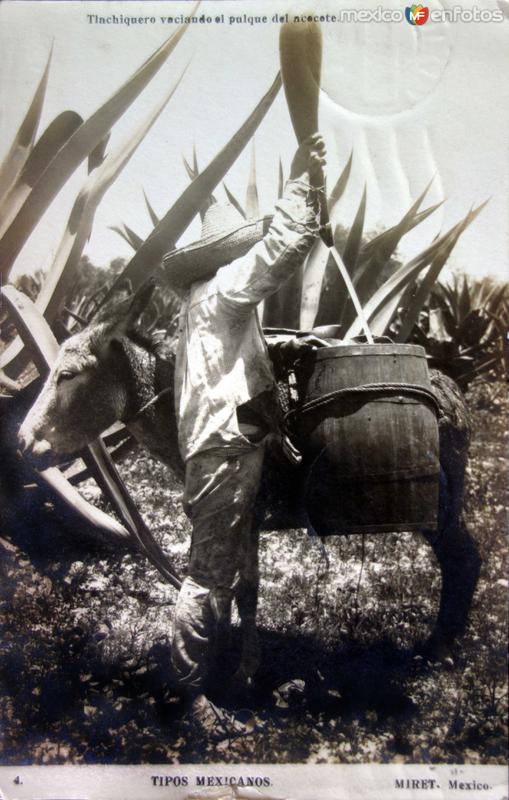 Tipos Mexicanos Tlachiquero vaciando el Pulque del Acocote por el fotografo Felix Miret.