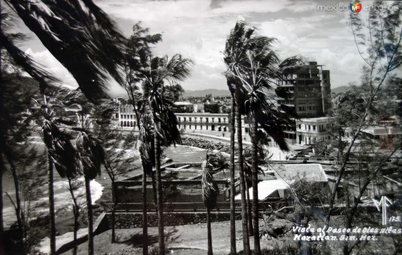 Tipica vista Paseo Olas Altas.