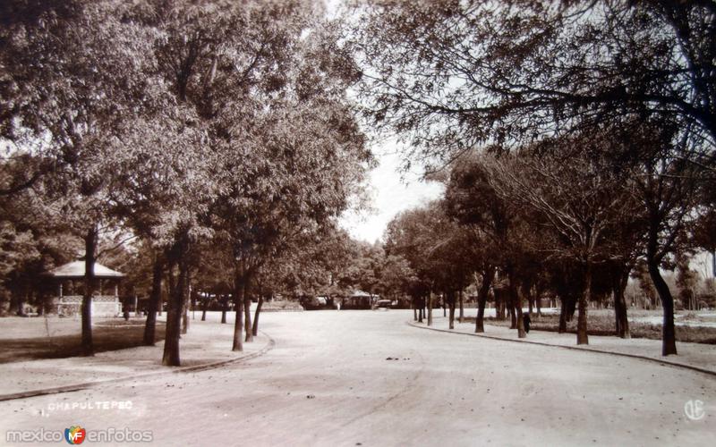 Entrada al Bosque de Chapultepec.