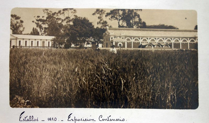 Exposicion de Establos conmemorando el Primer Centenario de la Independencia de Mexico Sep-1910.