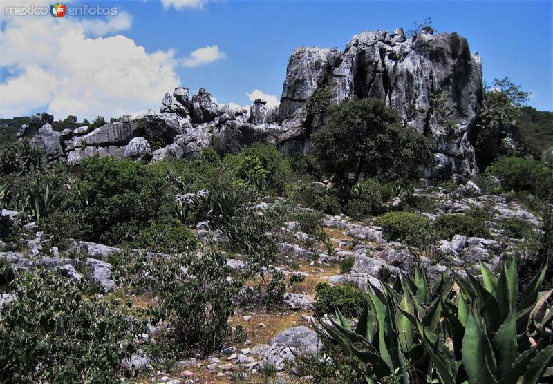 Fotos de San Nicolás Tolentino, San Luis Potosí, México: Valle de los Fantasmas