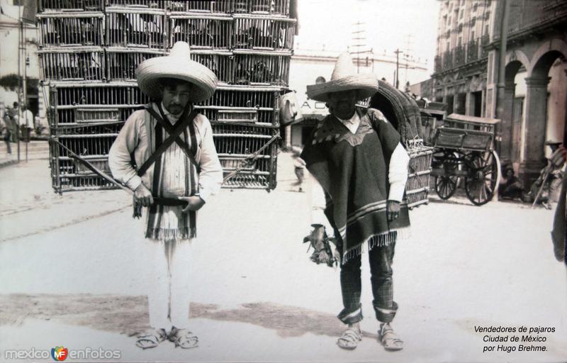 Vendedores de pajaros Ciudad de México por Hugo Brehme.