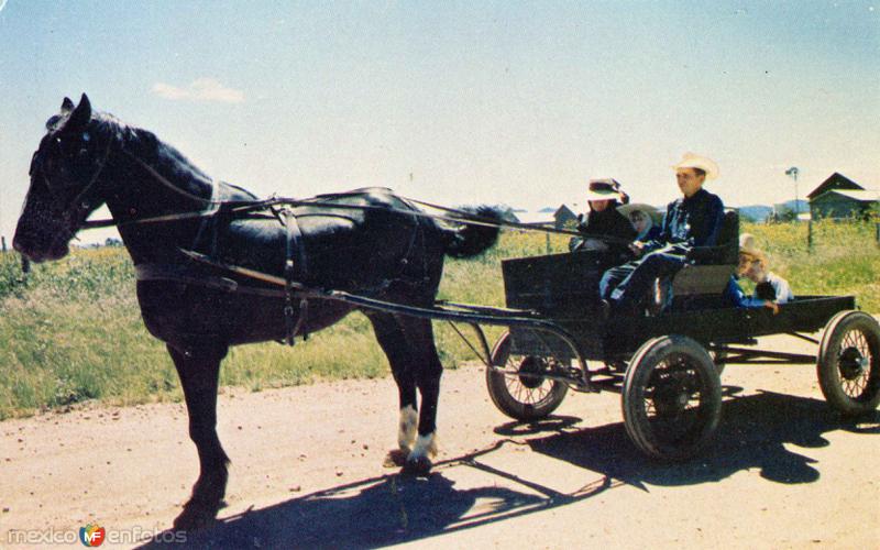 Coche típico donde viajan los colonos menonitas (I)