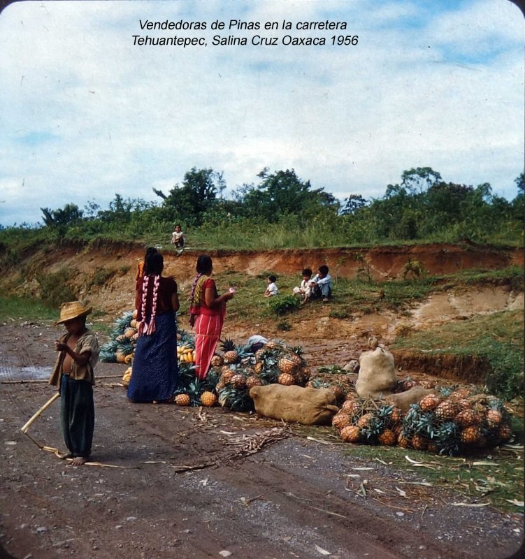 Tipos mexicanos Vendedoras de Pinas en la carretera Tehuantepec, Salina Cruz Oaxaca 1956