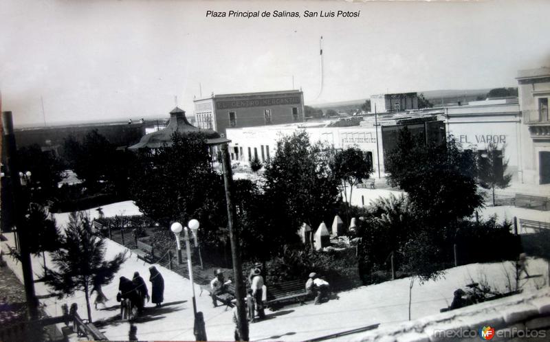 Plaza Principal de Salinas, San Luis Potosí