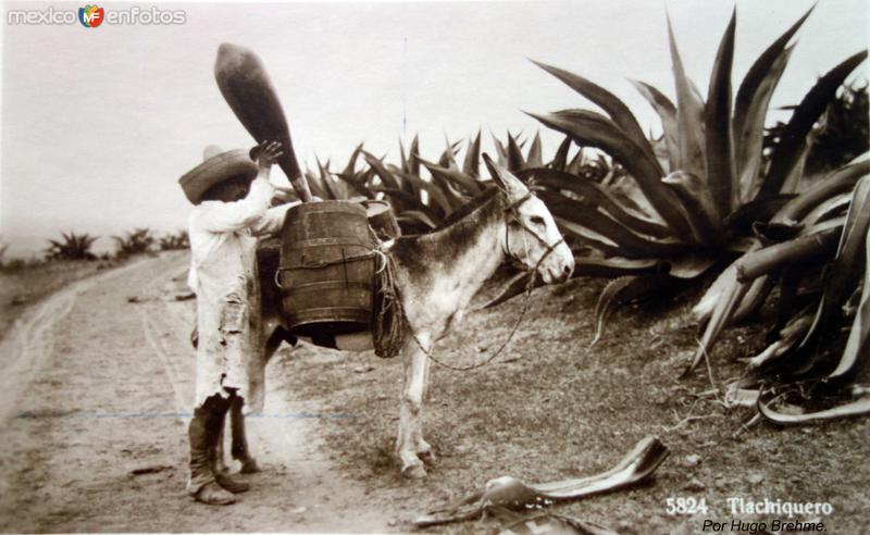 Tipos Mexicanos tipico tlachiquero Por el Fotógrafo Hugo Brehme. .