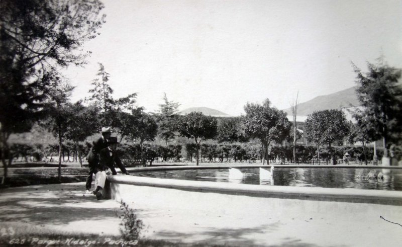 Parque Hidalgo.