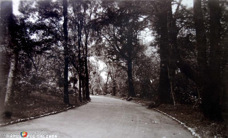 Chapultepec calzada.