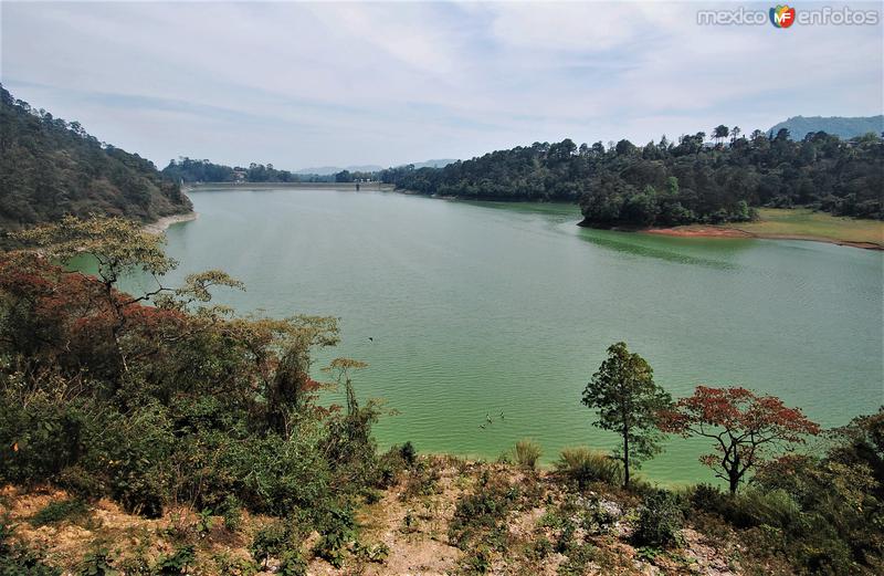 Presa Necaxa