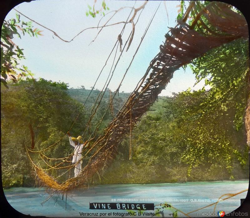 Puente de lianas por el fotografo C B Waite.