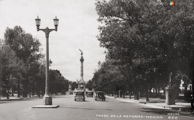 Paseo de la Reforma y Ángel de la Independencia