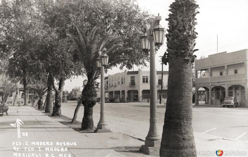 Fotos de Mexicali, Baja California, México: Avenida Francisco I. Madero