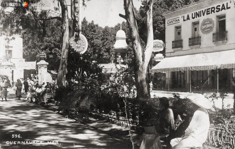 Jardín