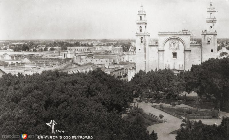 Plaza y Catedral del Mérida