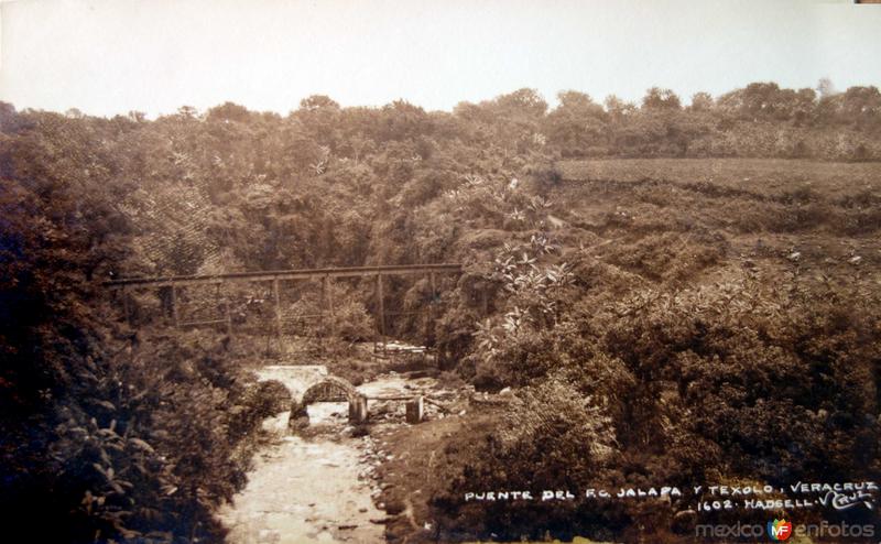 Puente del ferrocarril entre Jalapa y Texolo por el fotografo Walter E. Hadsell.