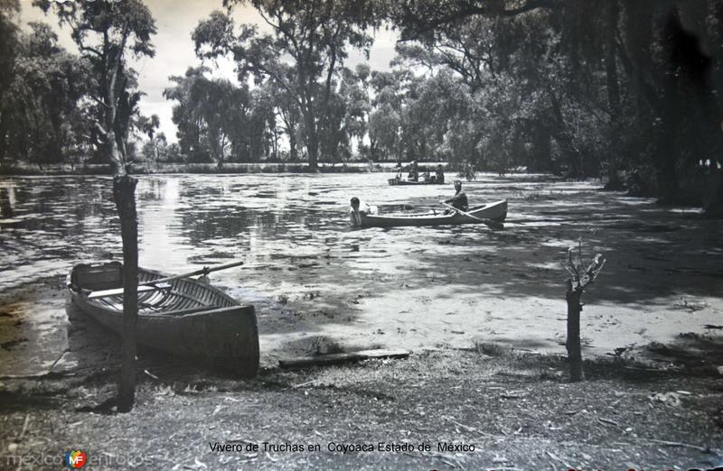 Vivero de Truchas en Coyoacán ( Fechadfa el 13 deJulio de 1940 )