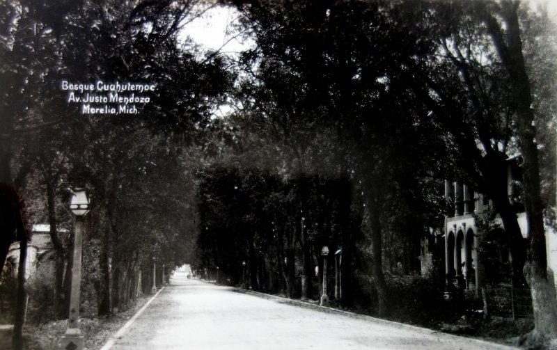 Bosque Cuahutemoc & Ave Justo Mendoza.