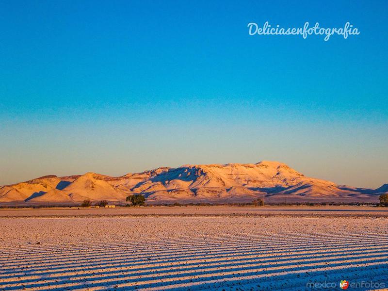 Fotografías de Delicias Chihuahua.