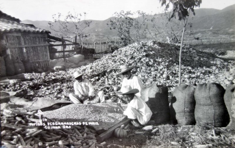 Tipos mexicanos tipicos desgranaderos de Maiz.