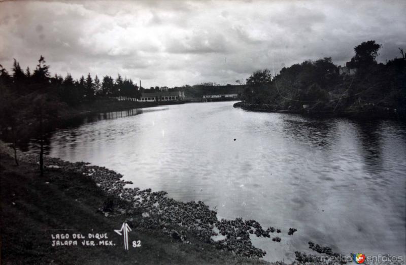 Lago del dique Jalapa Veracruz. - Xalapa, Veracruz (MX15569082086817)