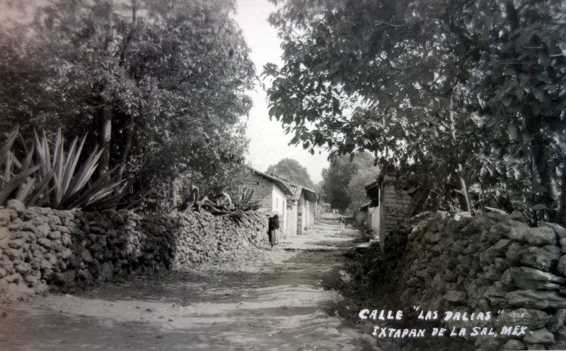 Calle Las Dalias ( Circulada el 16 de Noviembre de 1956 ).