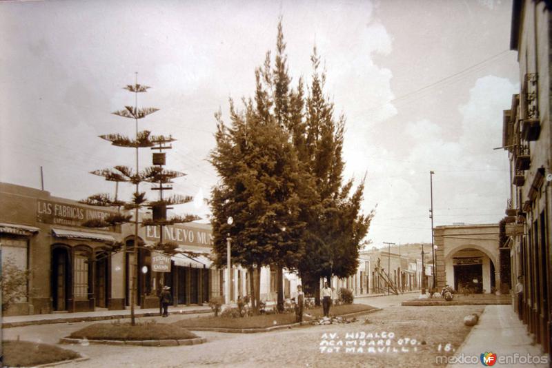 Avenida Hidalgo.