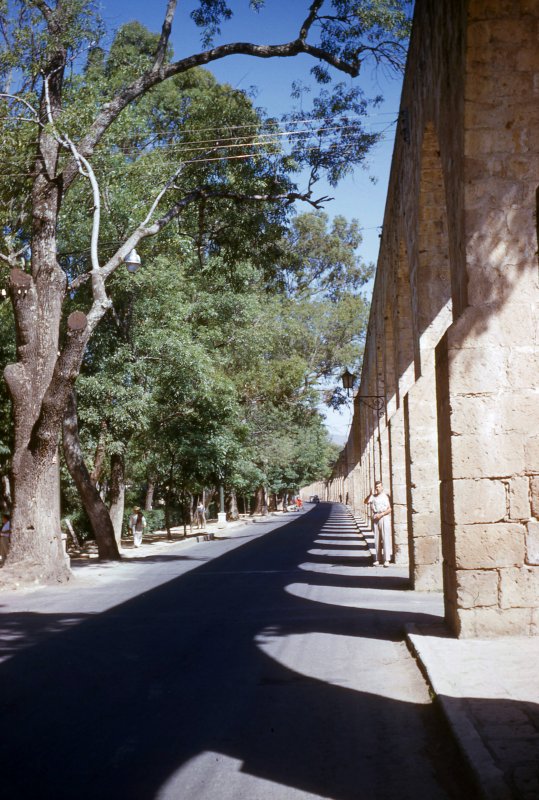 Acueducto de Morelia (1954)