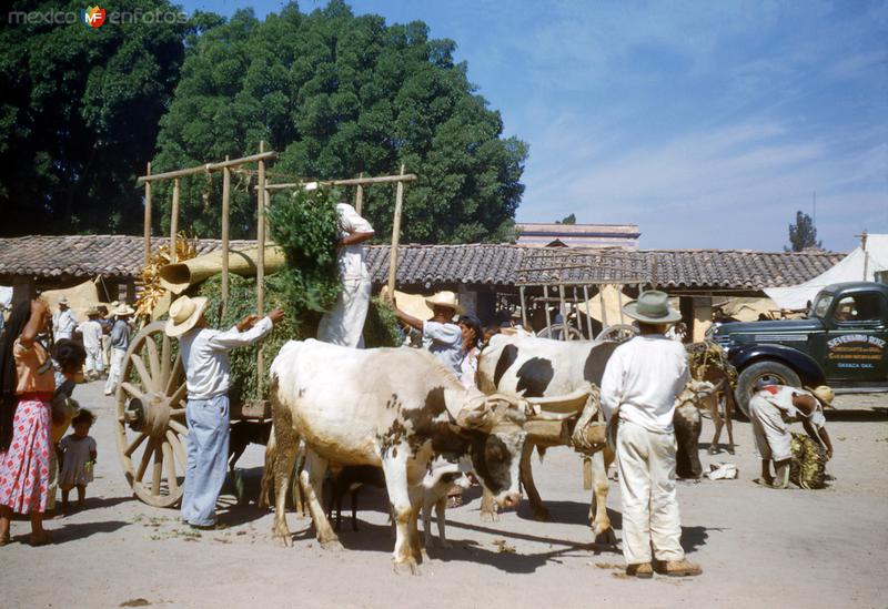 Carreta típica (1951)