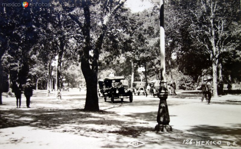 Entrada el Bosque de Chapultepecc.