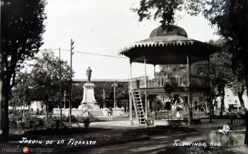 Jardin de La floresta.